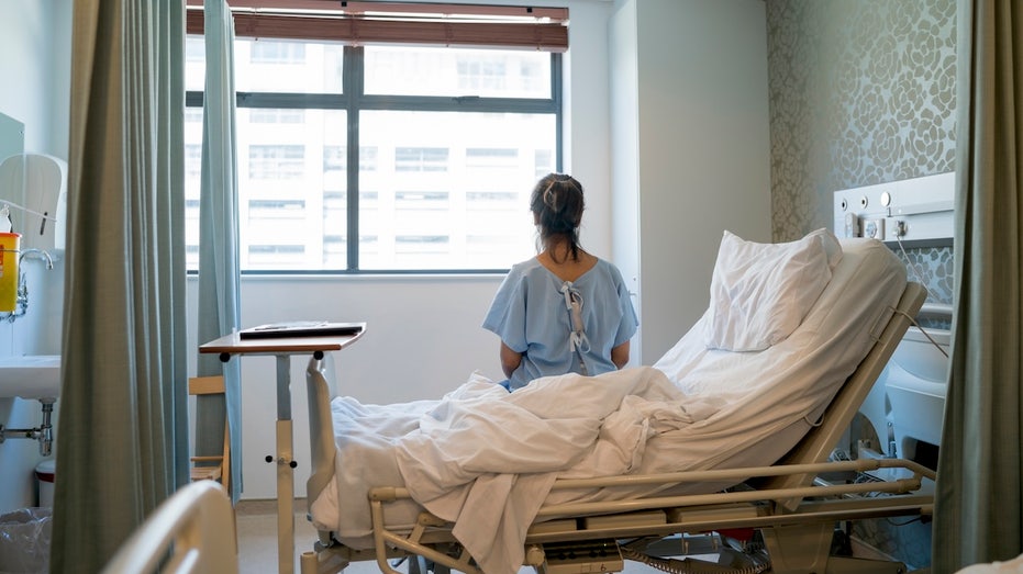 Hantavirus in the US: Where the rare, sometimes deadly disease has been found Education Melbourne